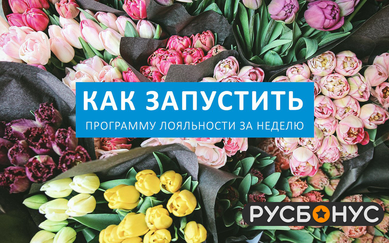 Три клиента «РусБонус» - как запустить программу лояльности за неделю